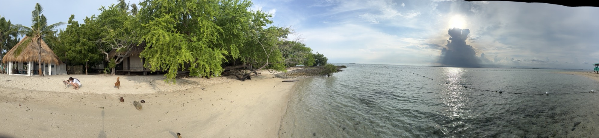 カオハガン島のビーチ全景。白砂と遠浅の海が続く