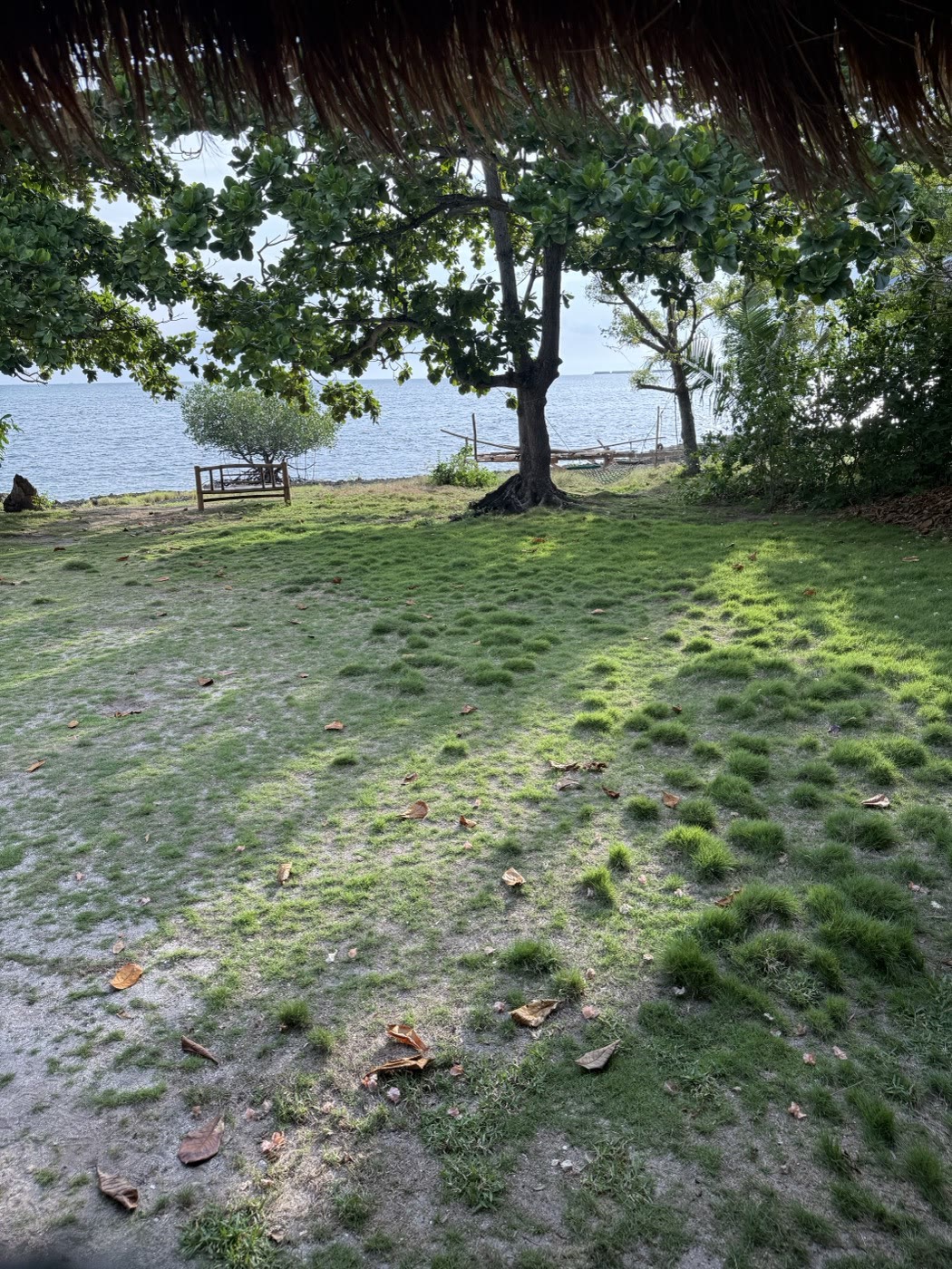 カオハガン島の海辺の芝生広場とブランコ